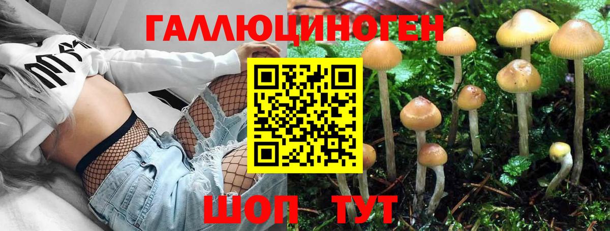 купить   Галлюциногенные грибы Magic Shrooms  Вход с VPN  Галлюциногенные грибы Psilocybe  Касимов 